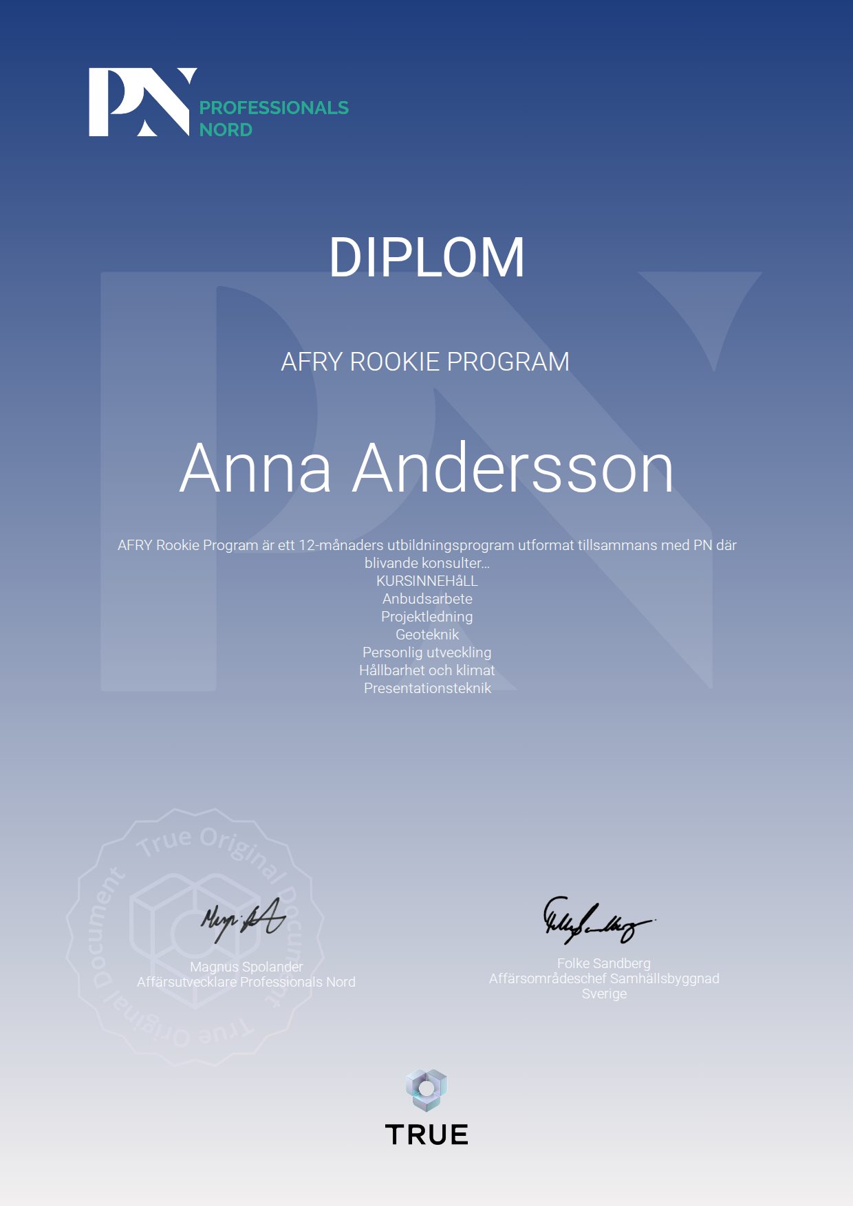 Example certificate for AFRY Rookie Program from Satellite Group / Professionals Nord