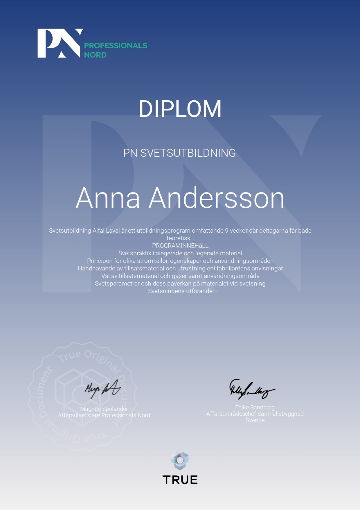 Exempel: diplom för PN Svetsutbildning från Satellite Group / Professionals Nord