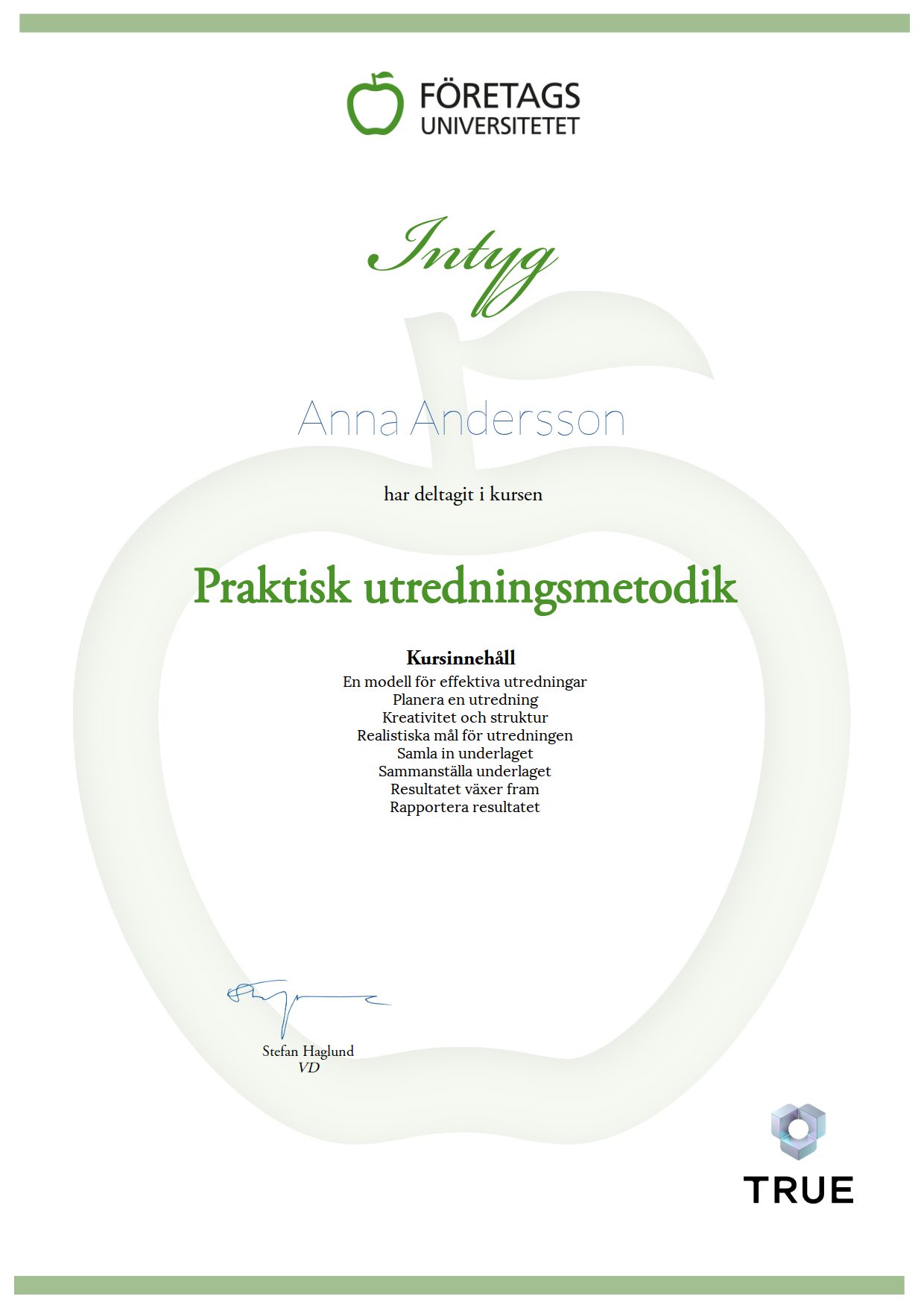 Exempel: diplom för Praktisk utredningsmetodik från Företagsuniversitetet