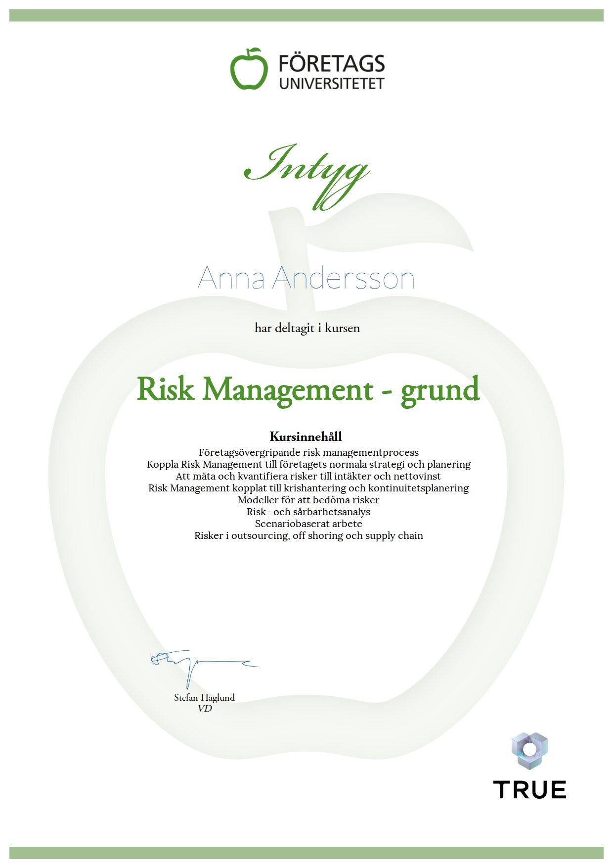 Exempel: diplom för Risk Management - grund från Företagsuniversitetet