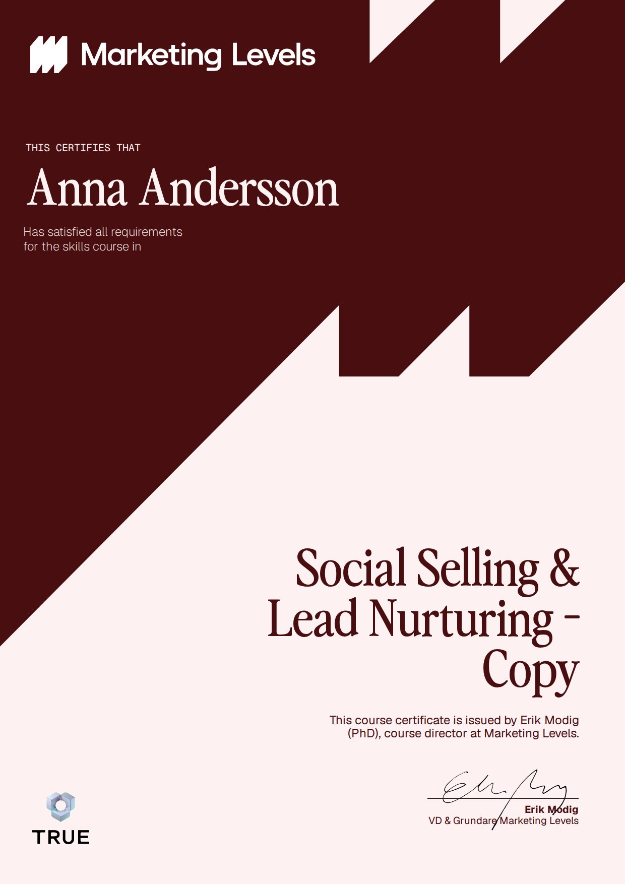 Exempel: diplom för Social Selling & Lead Nurturing - Copy från Marketing Levels Sweden AB