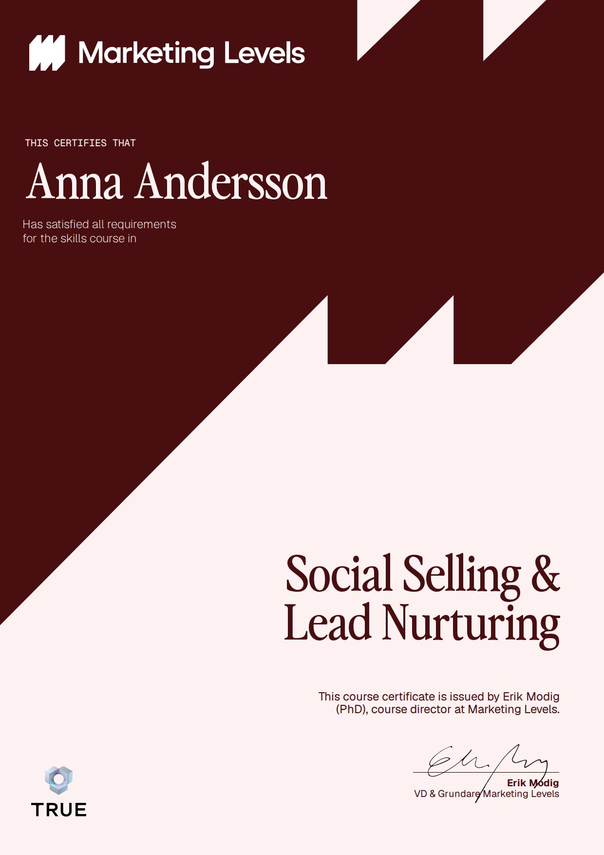 Exempel: diplom för Social Selling & Lead Nurturing från Marketing Levels Sweden AB