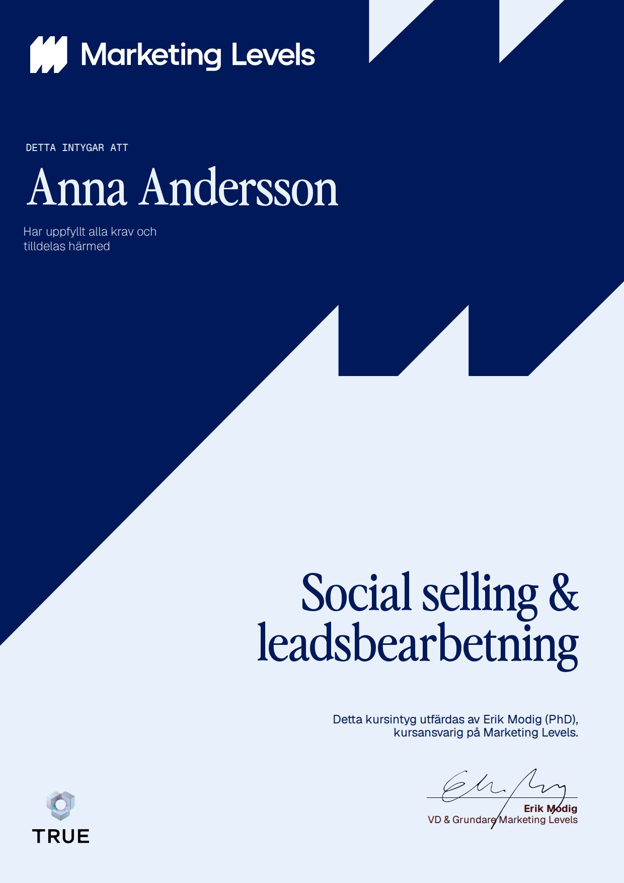 Exempel: diplom för Social selling & leadsbearbetning från Marketing Levels Sweden AB