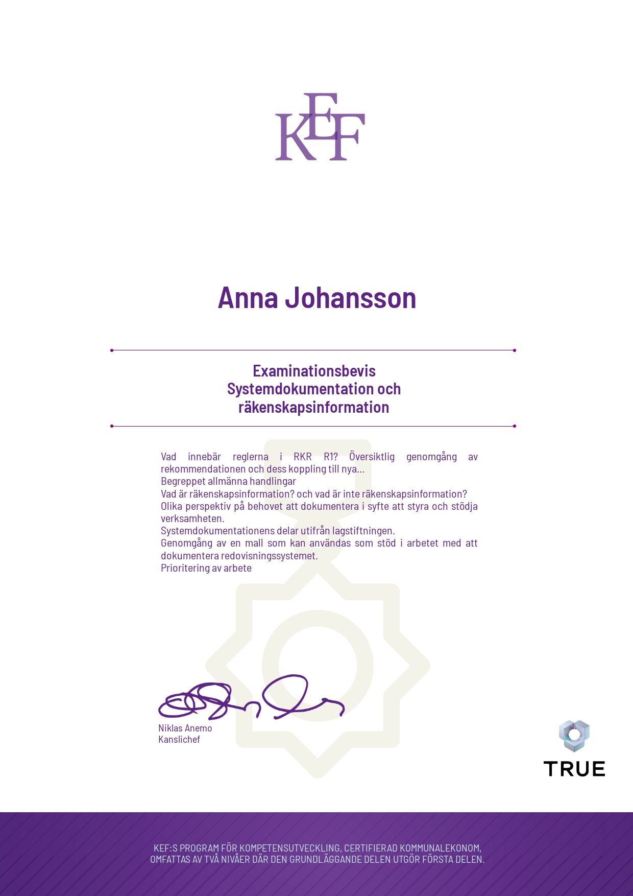 Exempel: diplom för Systemdokumentation och räkenskapsinformation från KEF - Kommualekonomernas förening