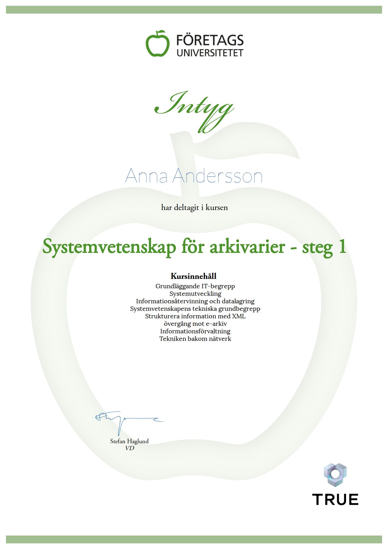 Exempel: diplom för Systemvetenskap för arkivarier - steg 1 från Företagsuniversitetet