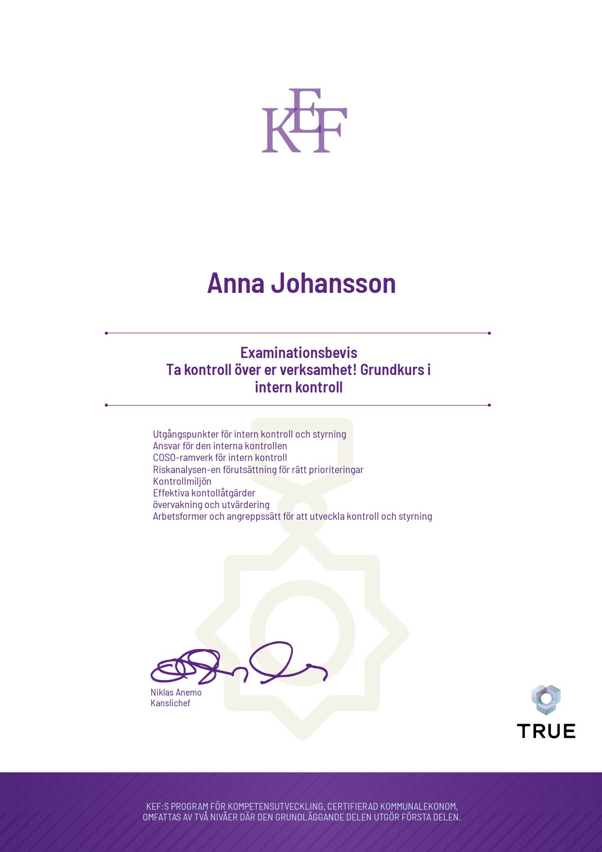 Exempel: diplom för Ta kontroll över er verksamhet! Grundkurs i intern kontroll från KEF - Kommualekonomernas förening