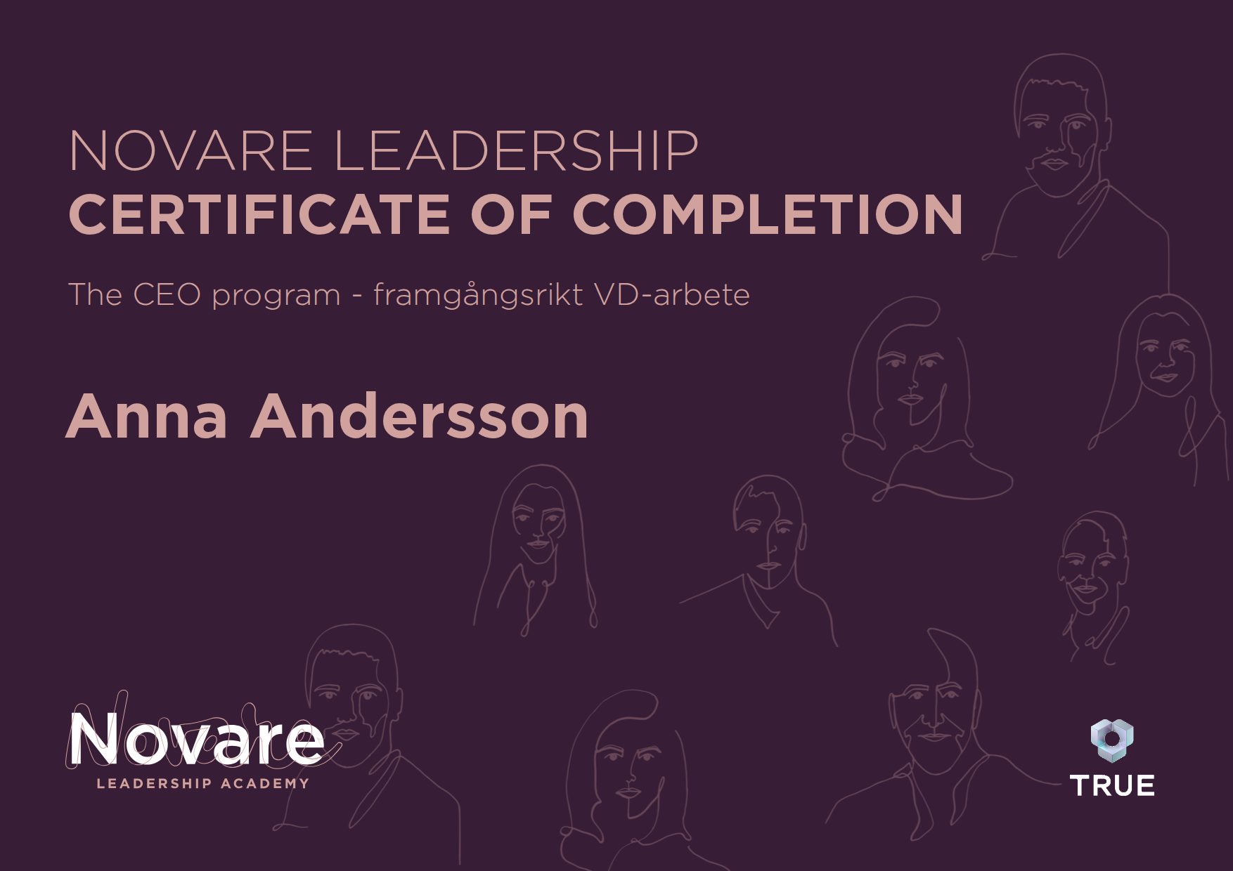 Exempel: diplom för The CEO program - framgångsrikt VD-arbete från Novare Leadership