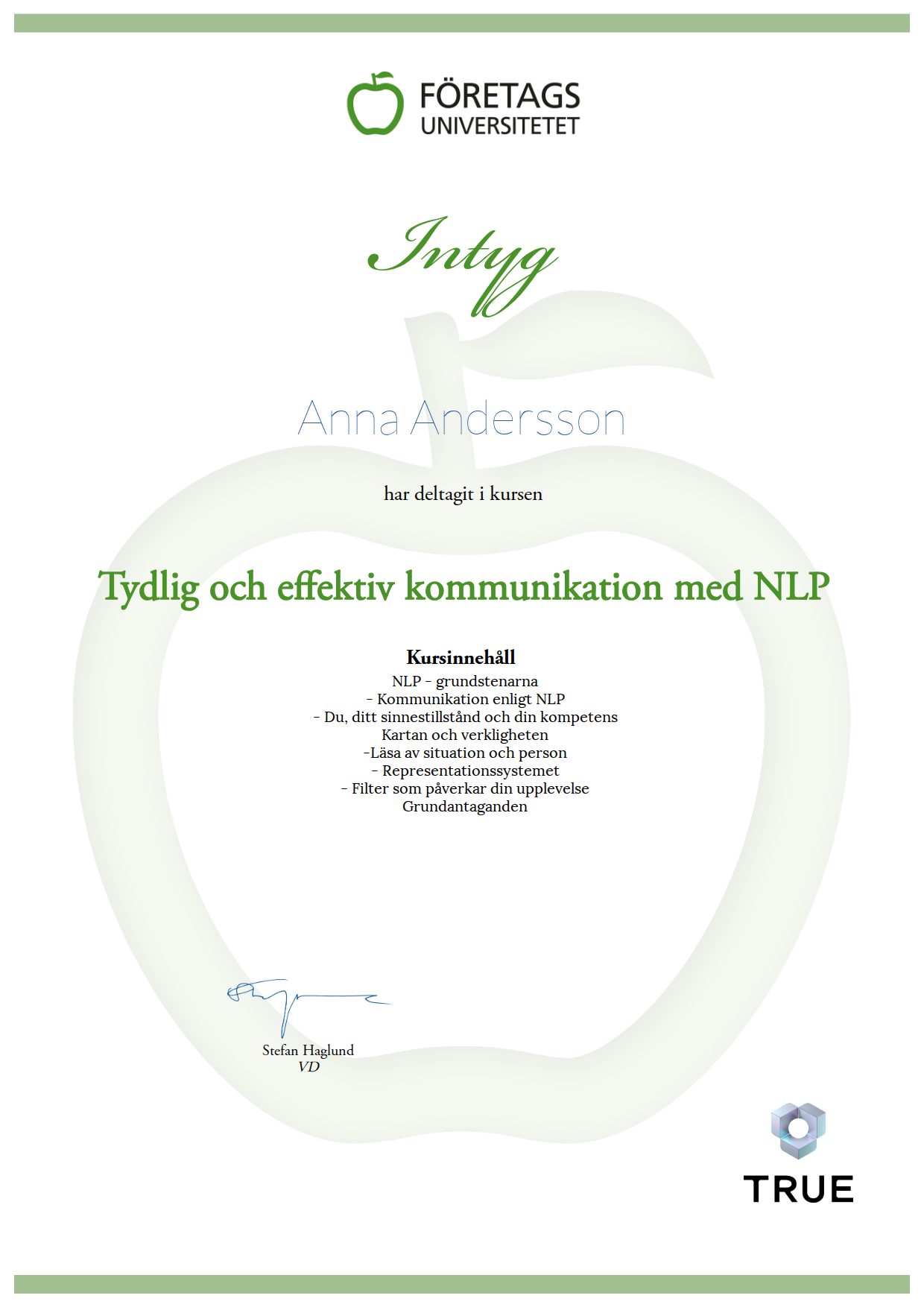 Example certificate for Tydlig och effektiv kommunikation med NLP from Företagsuniversitetet