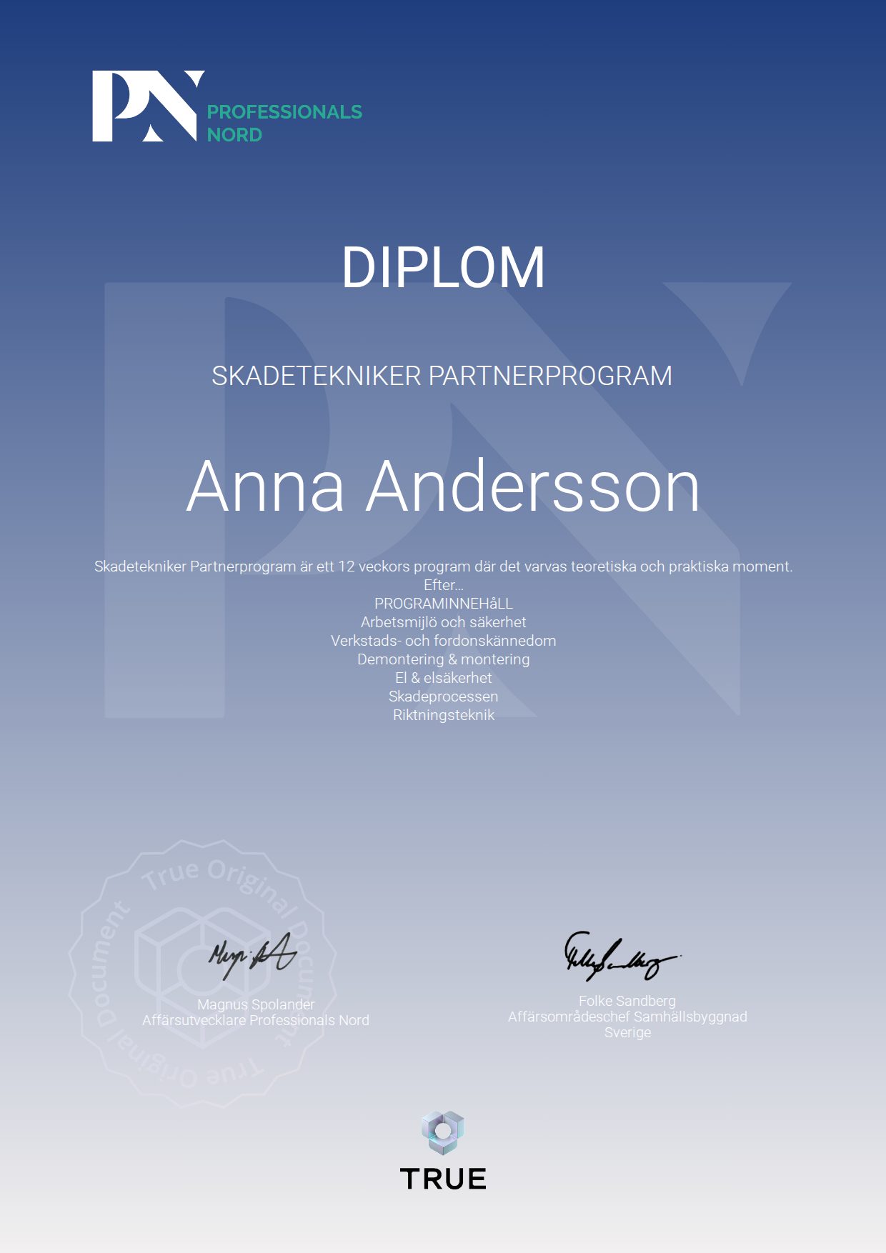 Exempel: diplom för Skadetekniker Partnerprogram från Satellite Group / Professionals Nord