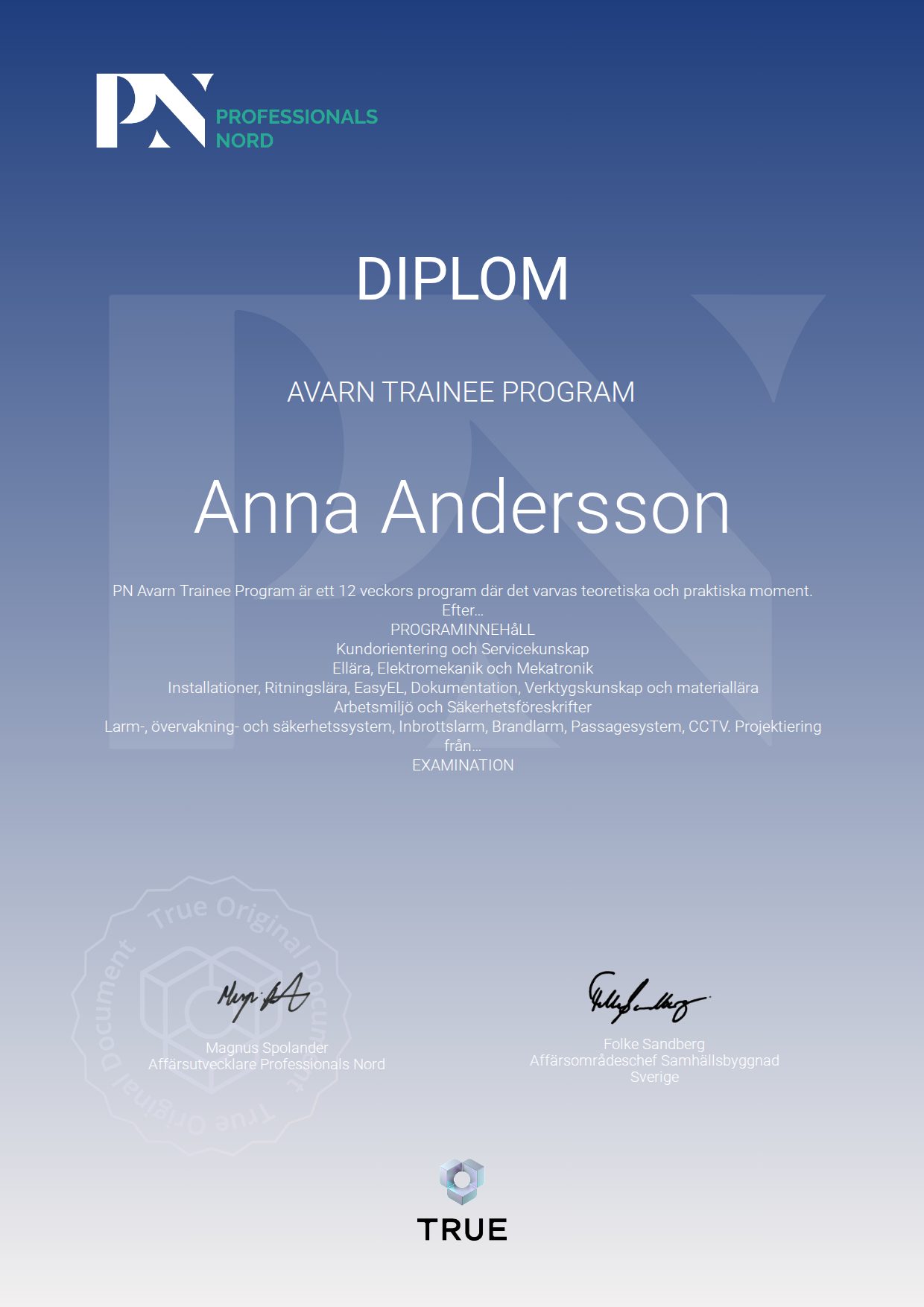 Example certificate for Avarn Trainee Program from Satellite Group / Professionals Nord