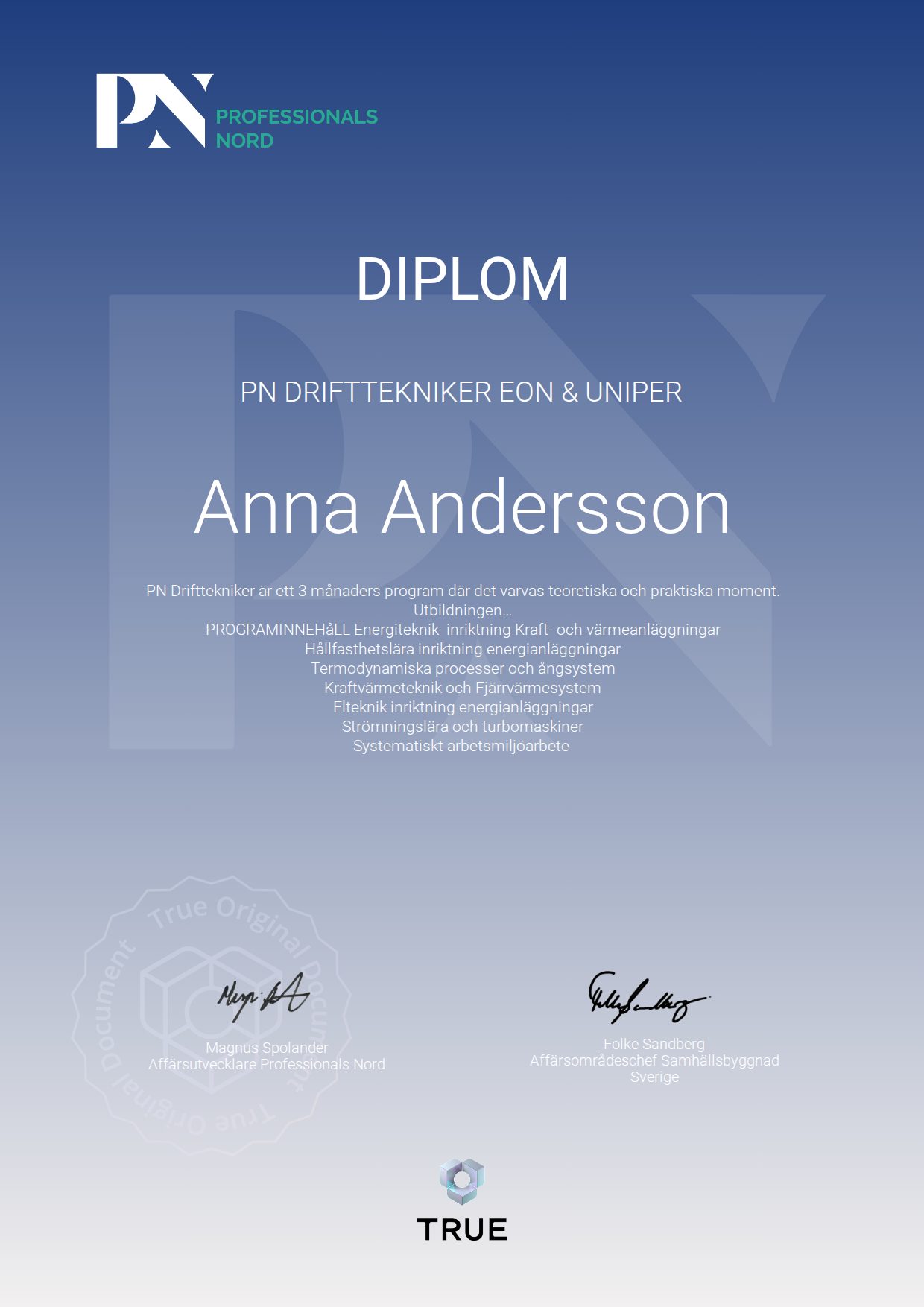 Exempel: diplom för PN Drifttekniker EON & Uniper från Satellite Group / Professionals Nord