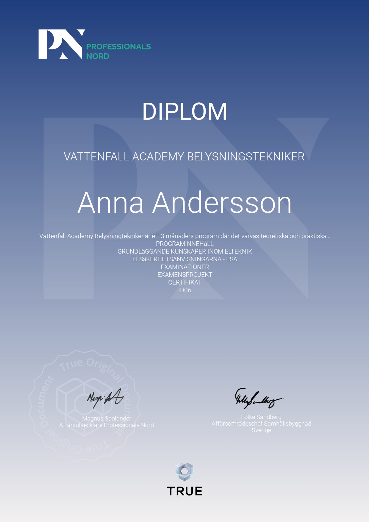 Exempel: diplom för Vattenfall Academy Belysningstekniker från Satellite Group / Professionals Nord